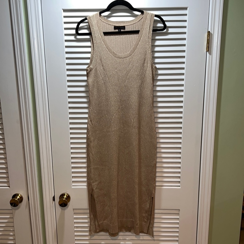 Banana Republic metallic tank dress